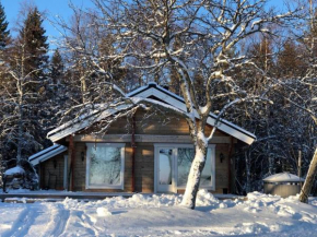 Eco-Villa Saturnus
